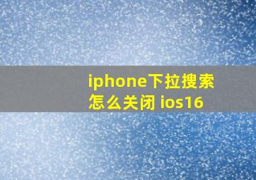 iphone下拉搜索怎么关闭 ios16